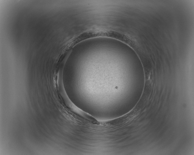 X0000068741348200604281129