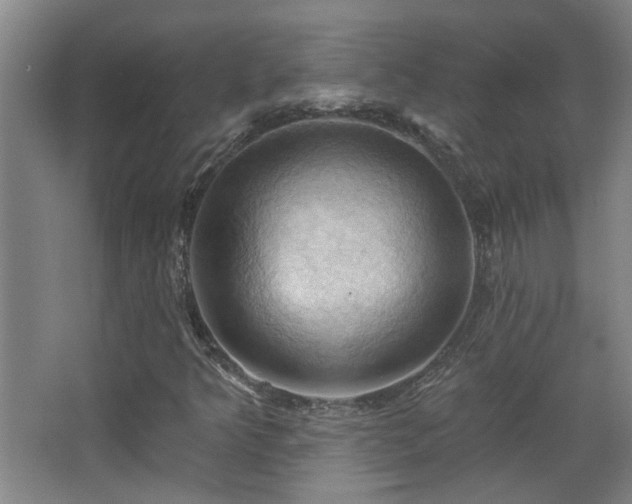 X0000068741349200604281129