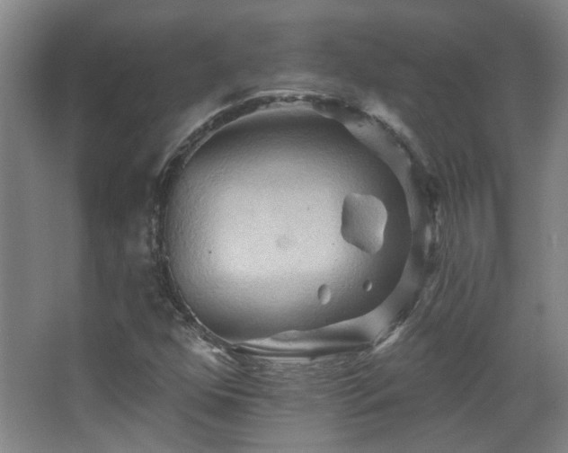 X0000068741352200604281129