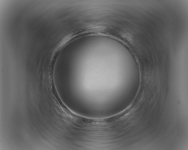 X0000068741354200604281129