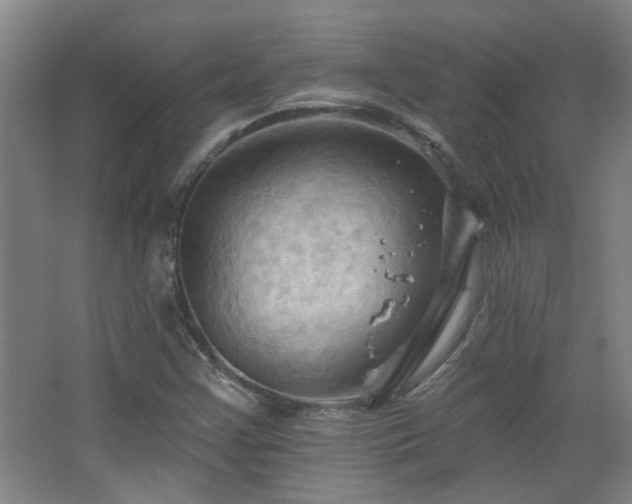 X0000068741355200604281129