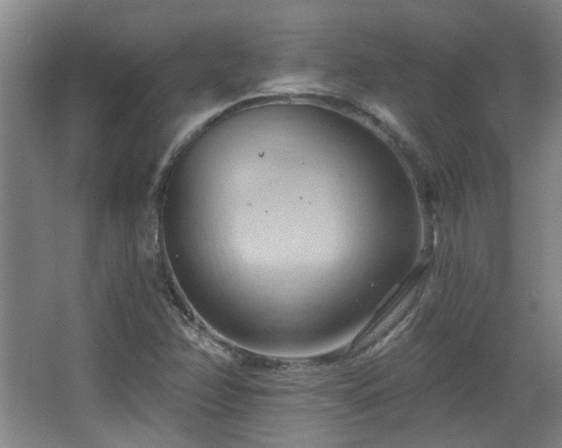 X0000068741358200604281129