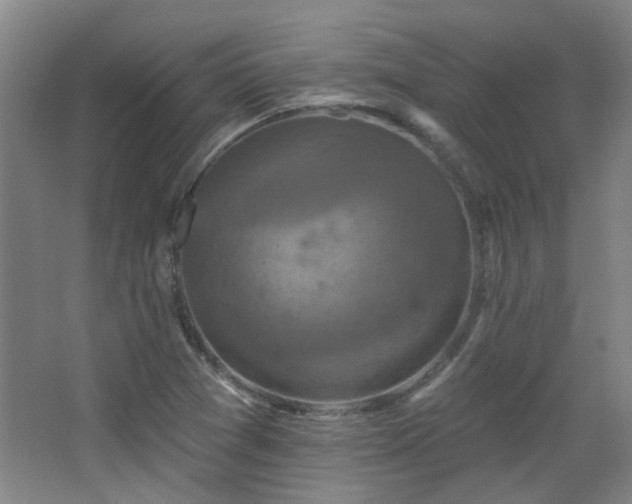 X0000068741361200604281128