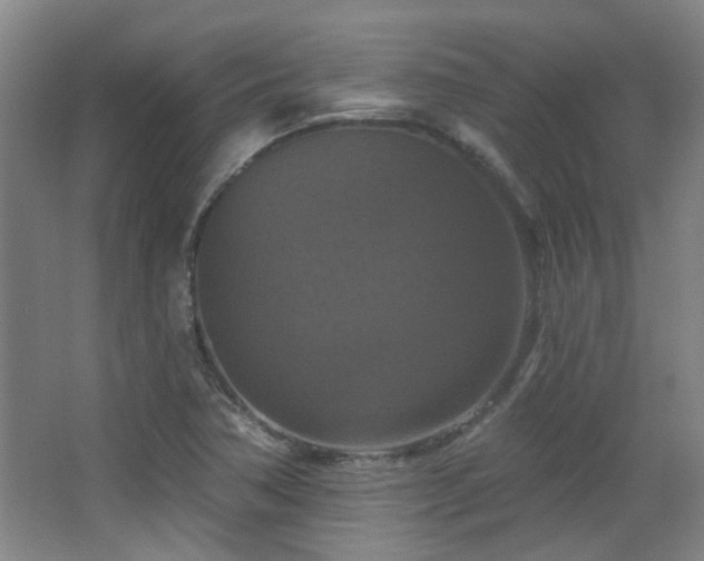 X0000068741362200604281128