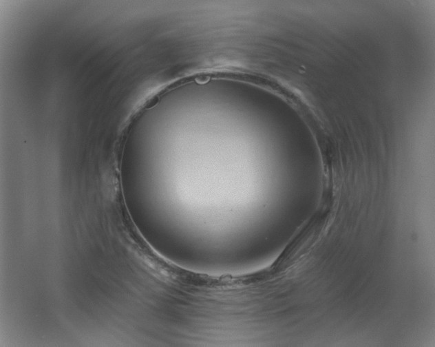 X0000068741363200604281128