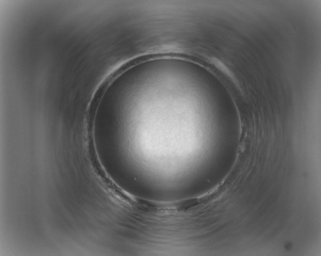 X0000068741364200604281128