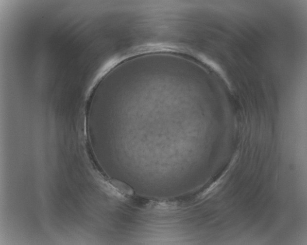 X0000068741365200604281128