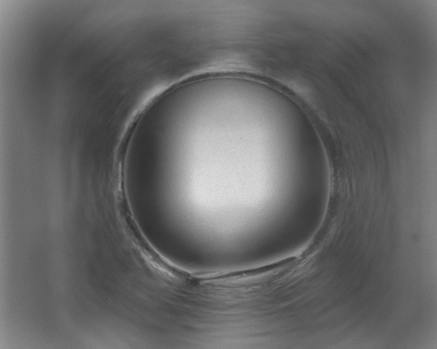 X0000068741366200604281128