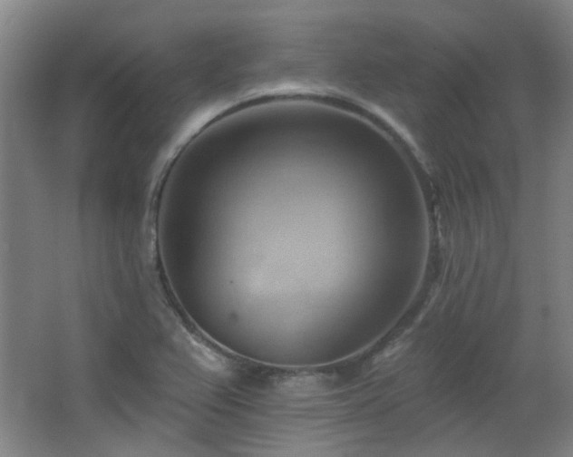 X0000068741367200604281128