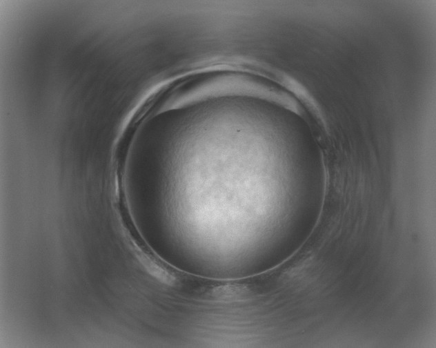 X0000068741368200604281128