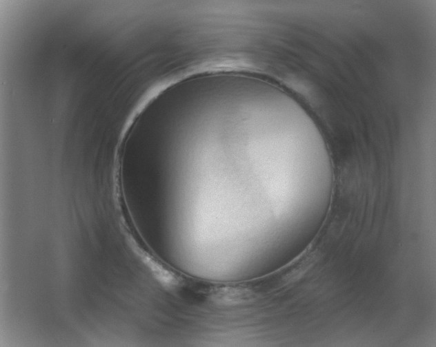 X0000068741374200604281128