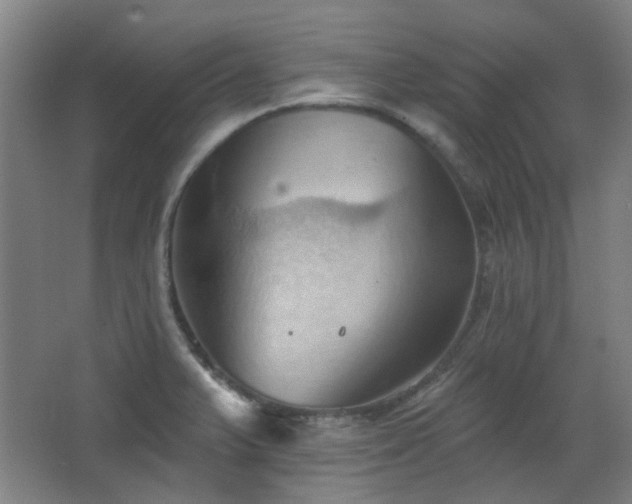 X0000068741375200604281128