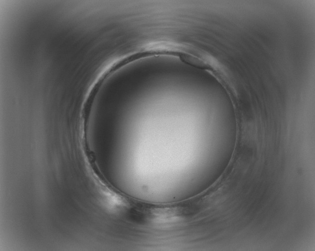 X0000068741376200604281128