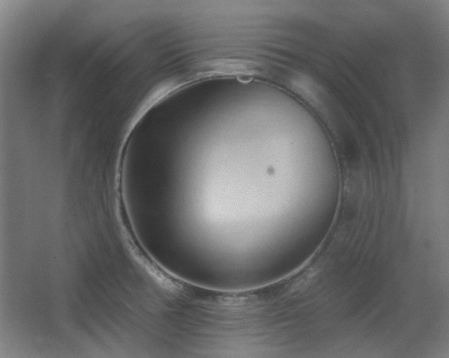 X0000068741378200604281128