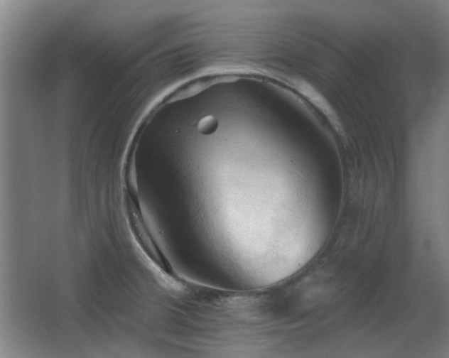 X0000068741380200604281128