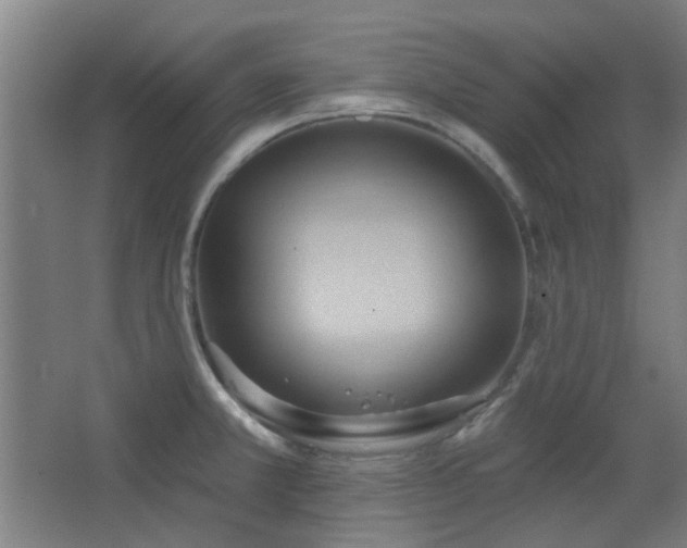 X0000068741381200604281128