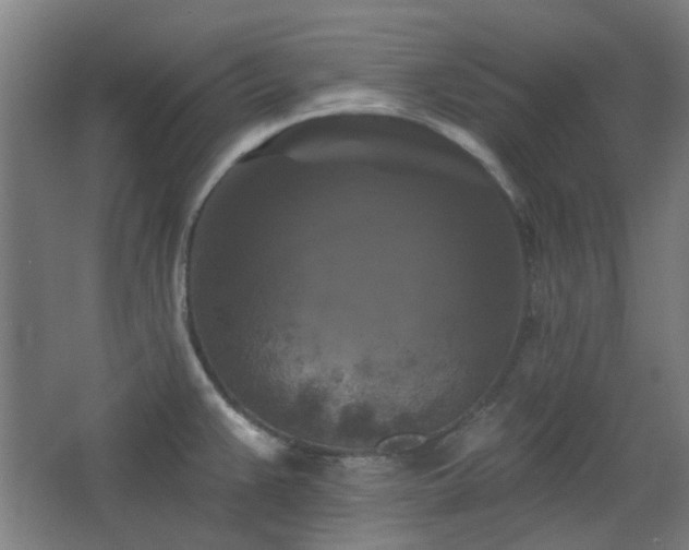 X0000068741383200604281128