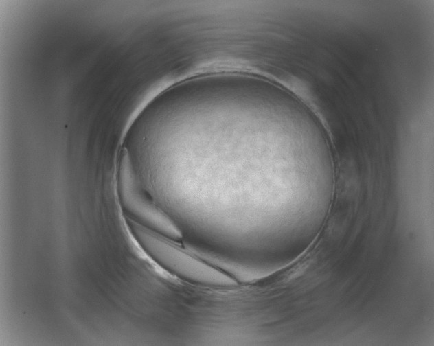 X0000068741390200604281128