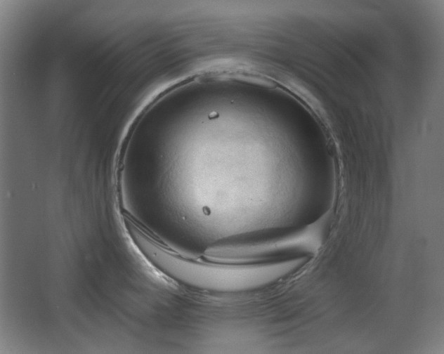 X0000068741392200604281128