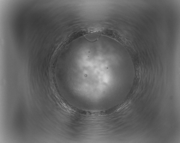 X0000068741393200604281127