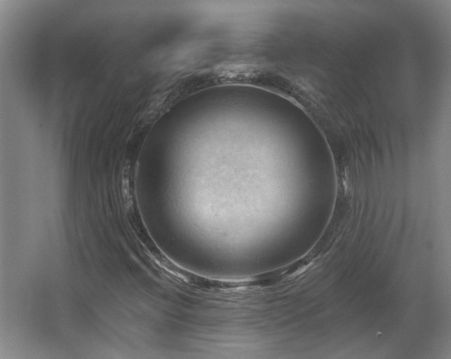 X0000068741396200604281127