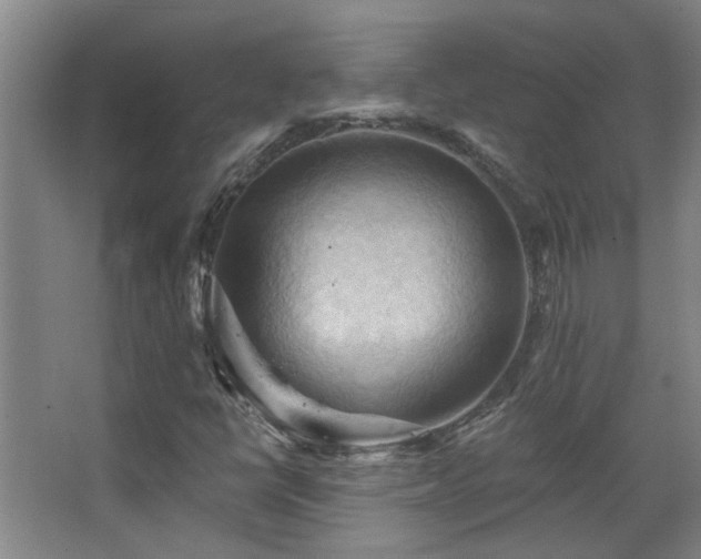 X0000068741398200604281127