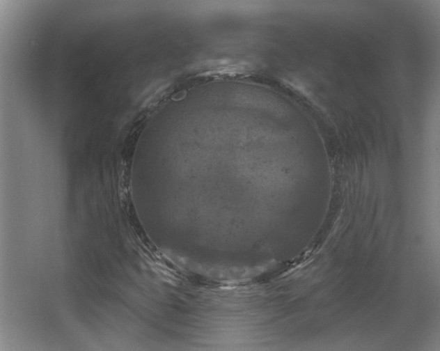 X0000068741399200604281127