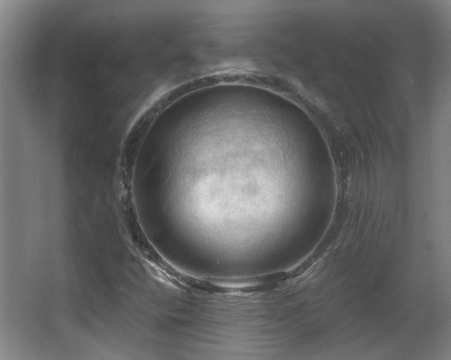 X0000068741400200604281127