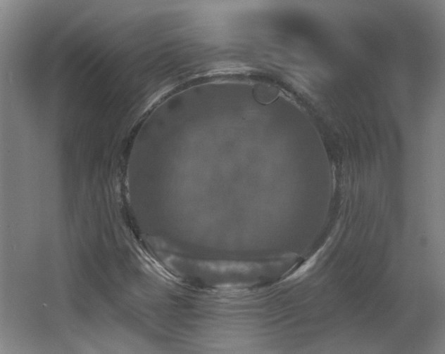 X0000068741401200604281127