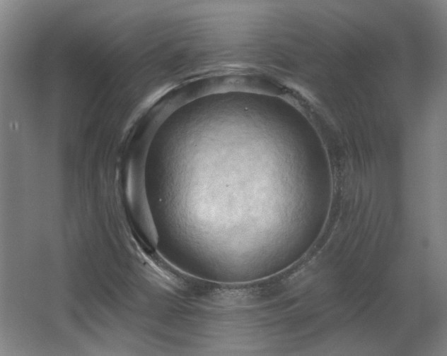 X0000068741402200604281127