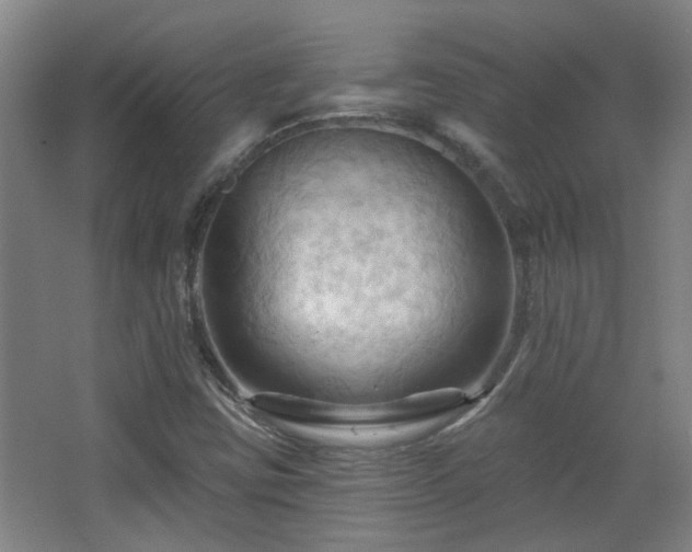 X0000068741403200604281127