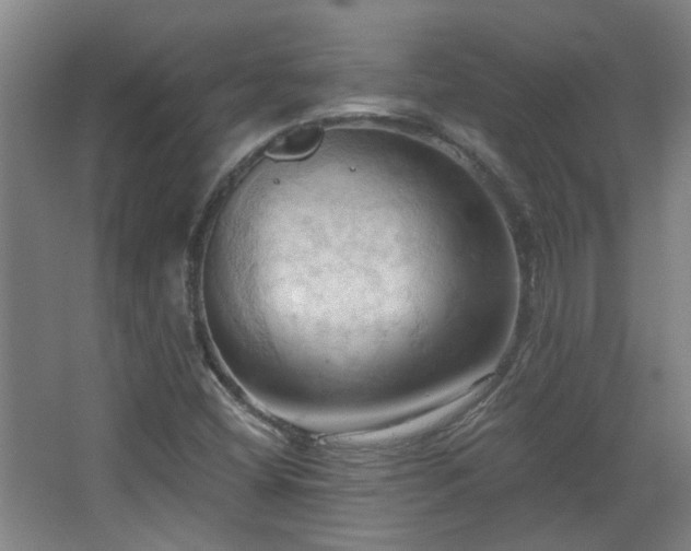 X0000068741404200604281127