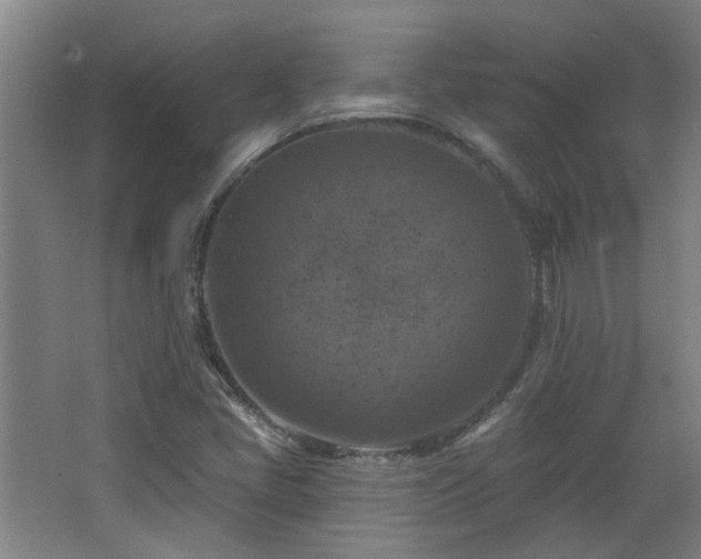 X0000068741405200604281127