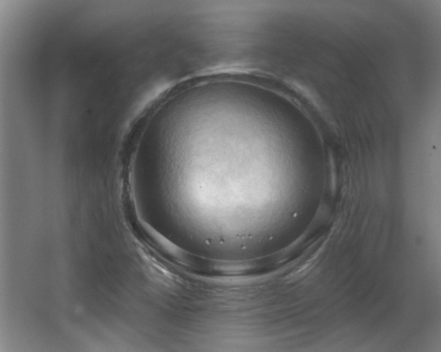 X0000068741406200604281127