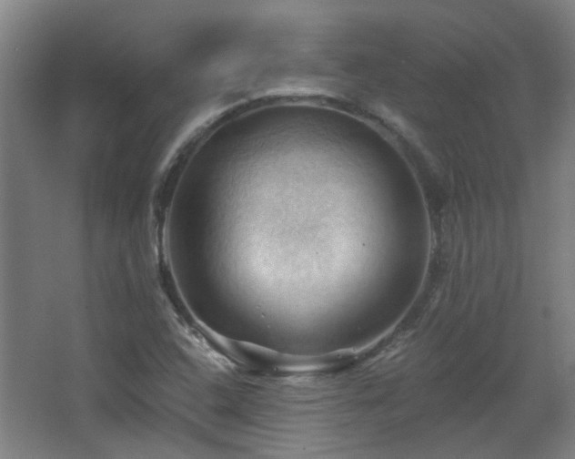 X0000068741408200604281127