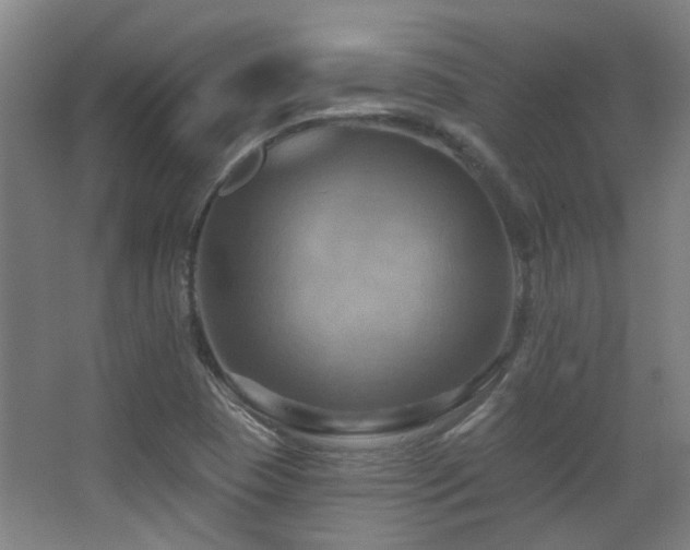 X0000068741409200604281127