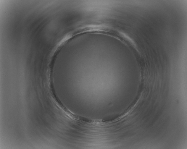 X0000068741411200604281127