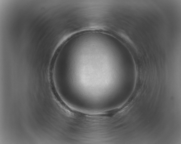 X0000068741412200604281127