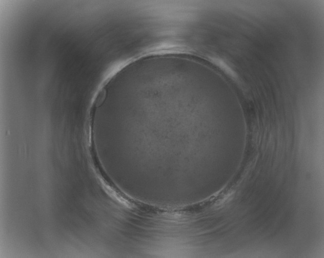 X0000068741413200604281127