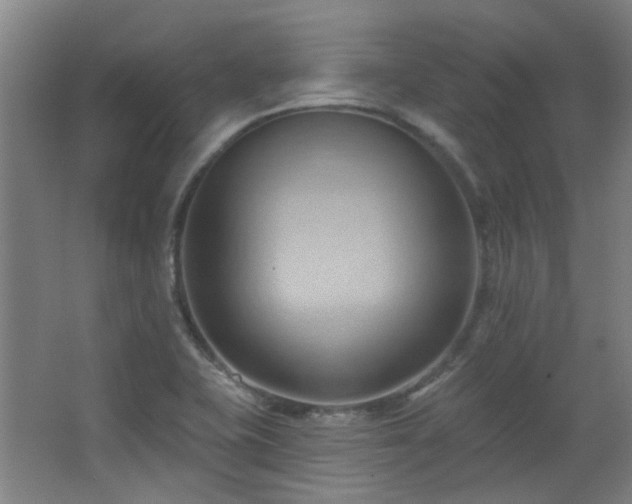 X0000068741415200604281128