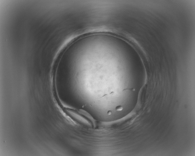 X0000068741416200604281128