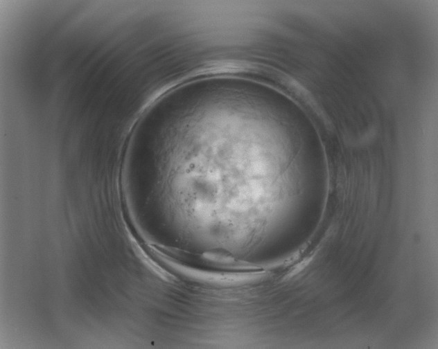 X0000068741417200604281128