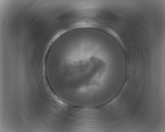 X0000068741419200604281128