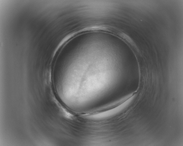 X0000068741420200604281128