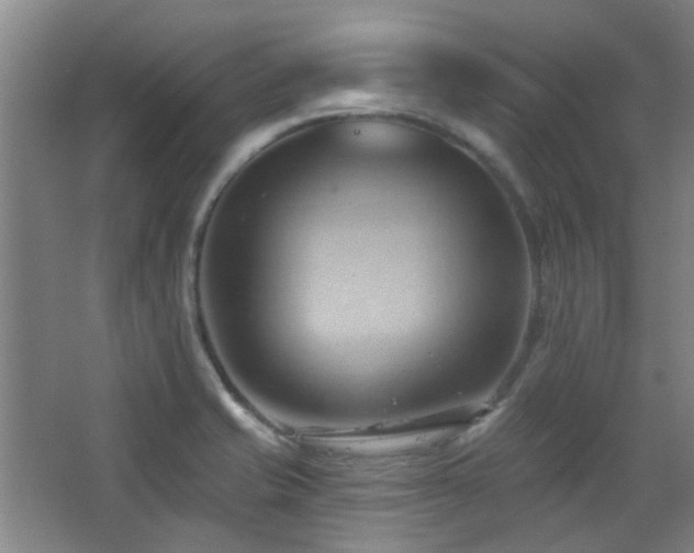 X0000068741421200604281128