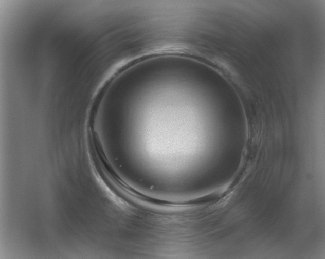 X0000068741422200604281128