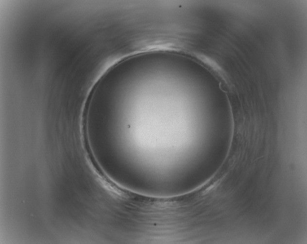 X0000068741423200604281128