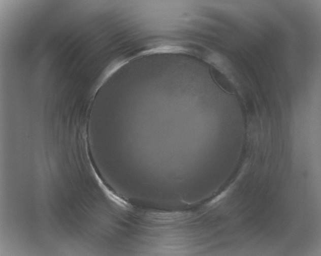 X0000068741425200604281128