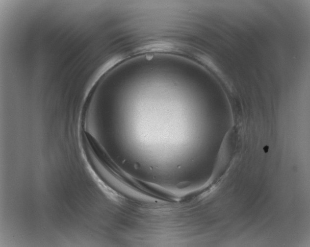 X0000068741426200604281128