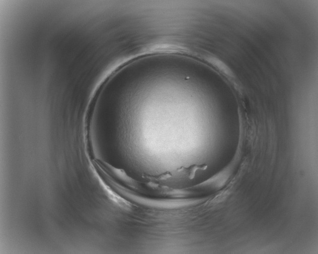 X0000068741430200604281128